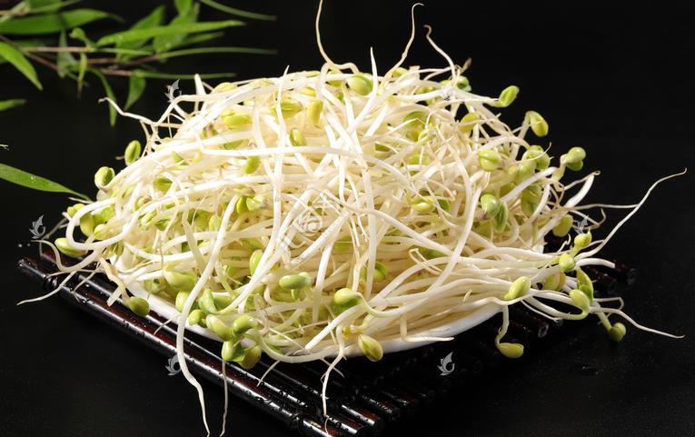 無(wú)公害綠色豆芽，怎么生產(chǎn)出來(lái)的？全套生產(chǎn)過(guò)程如此方便智能